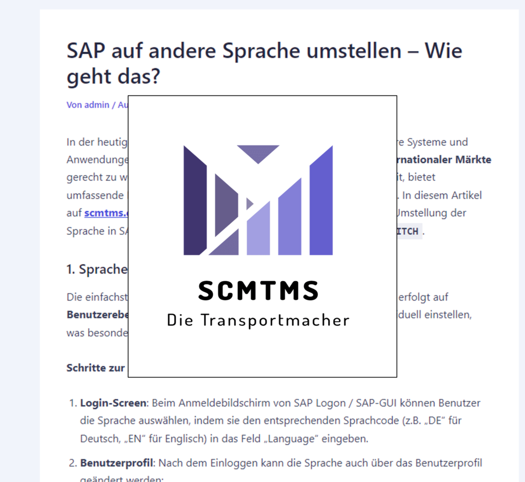 sap-auf-andere-sprache-umstellen