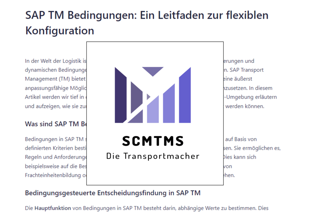 sap-tm-bedingungen