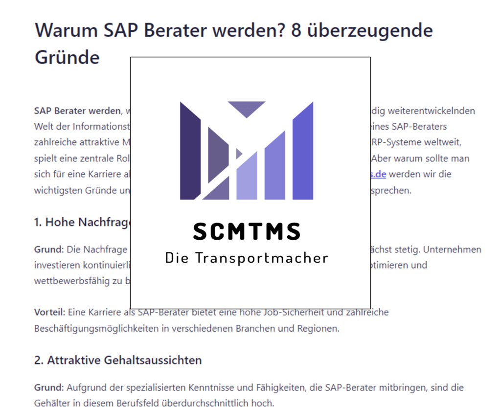 sap-tm-berater-werden-warum