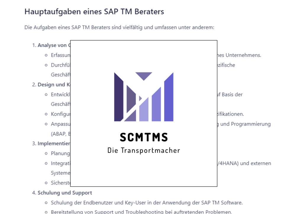 was-macht-ein-sap-tm-berater