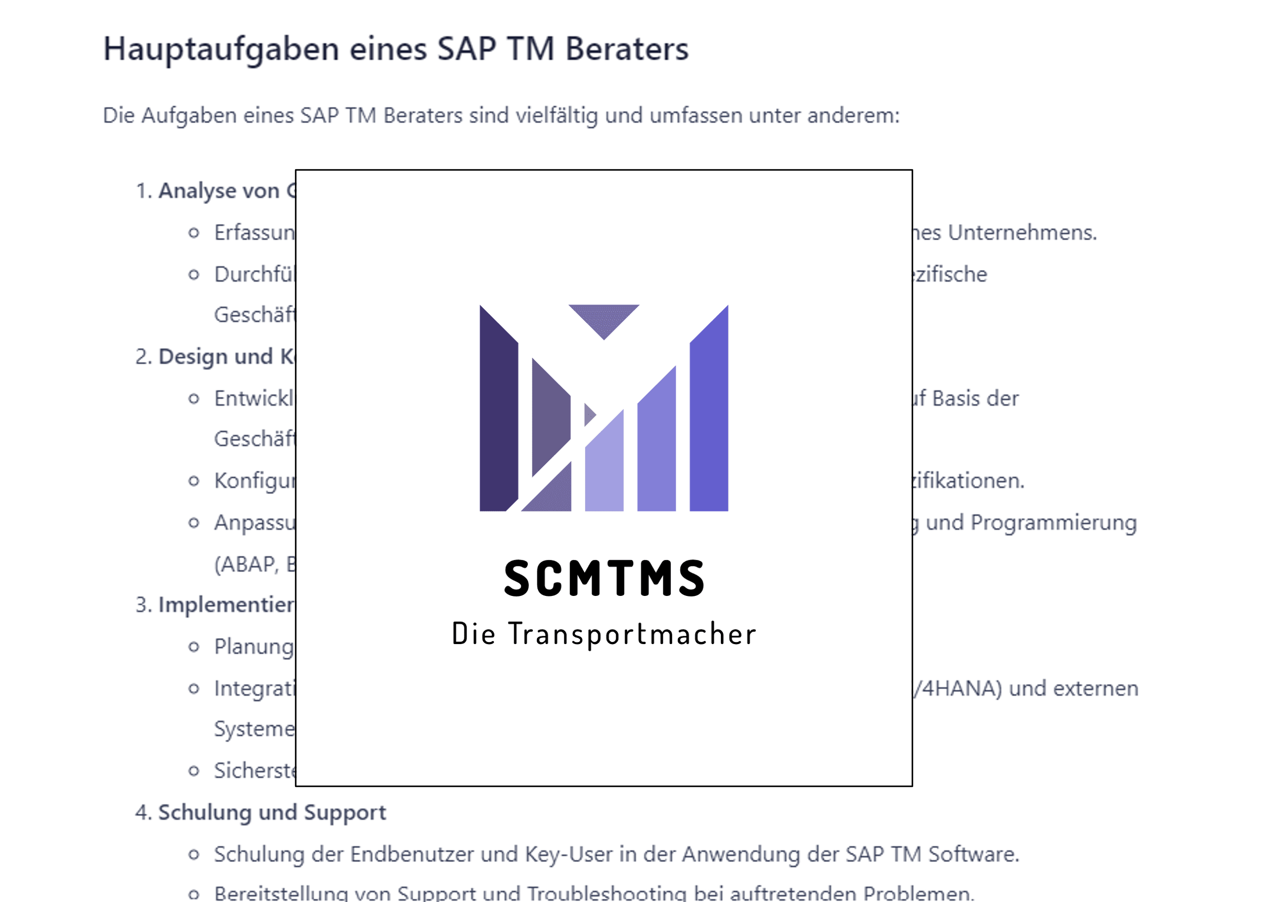 Was macht ein SAP TM Berater?