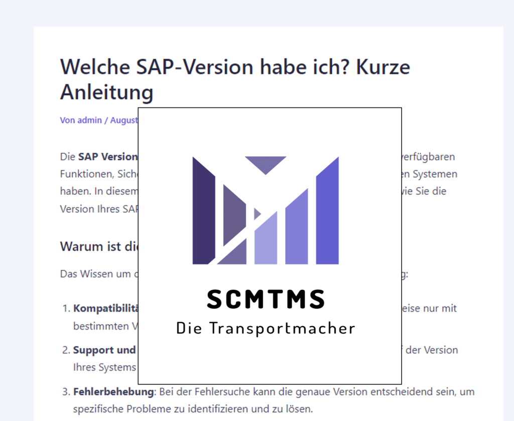 welche-sap-version-habe-ich