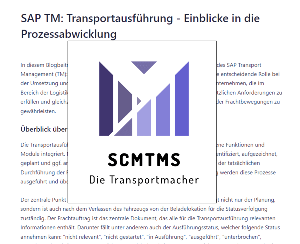 sap-tm-transportausführung-prozess