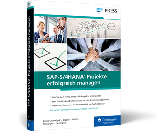 sap projektleiter werden